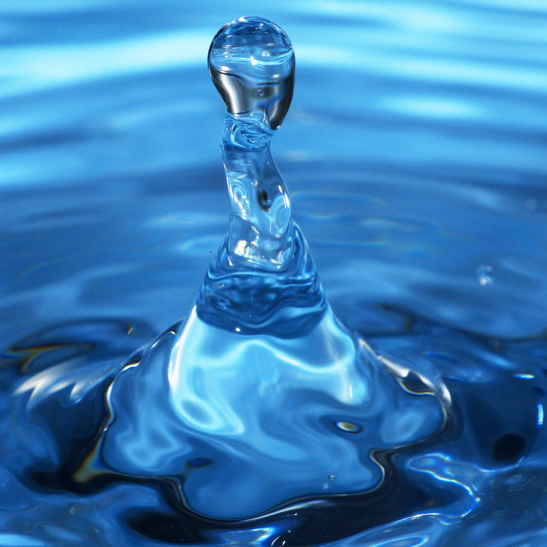 Everything is Transitory INVP.BLOG